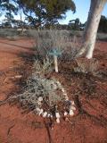 image of grave number 513037